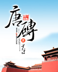 唐砖封面