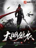 大明锦衣封面