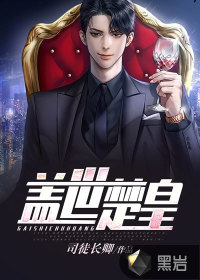 盖世楚皇封面