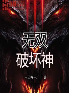 无双破坏神封面