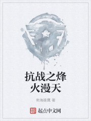 抗战之烽火漫天封面