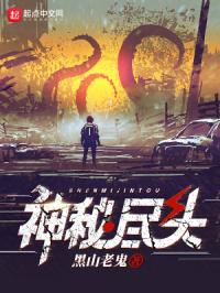 神秘尽头封面