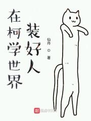 在柯南世界装好人封面