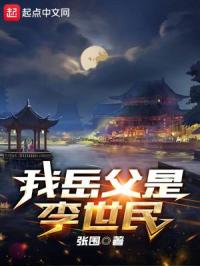我岳父是李世民封面