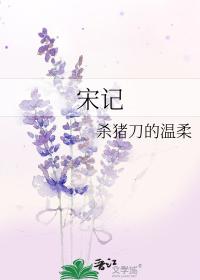宋记封面